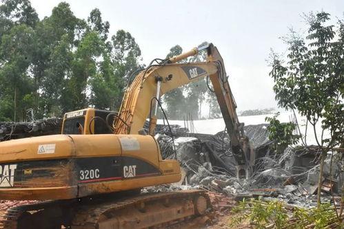 廉江爆料新闻最新,揭秘某重大事件背后真相  第1张